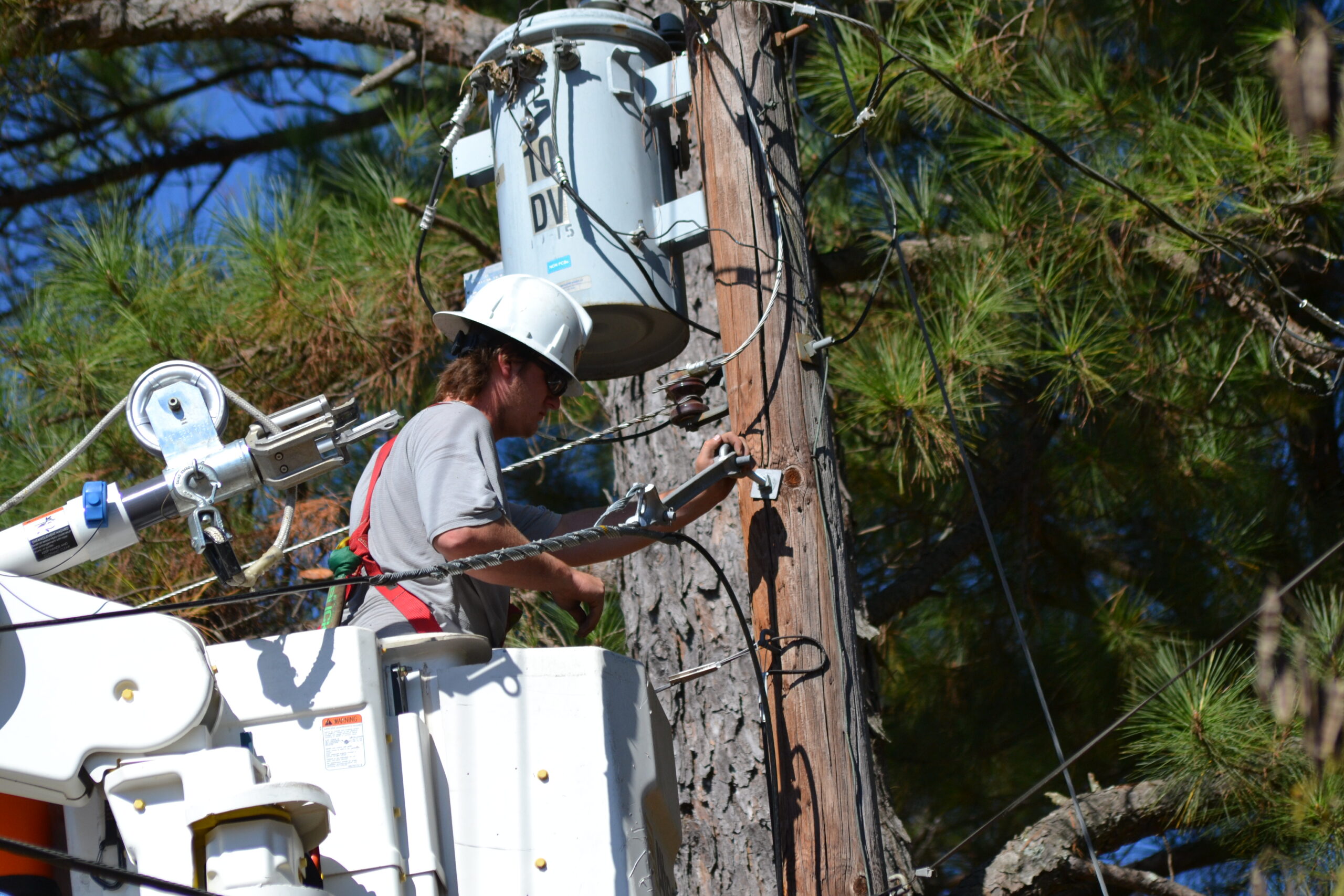 TVEPA line crews strengthening Water Valley’s infrastructure